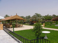 hotelový bar u bazénu v Dubaji